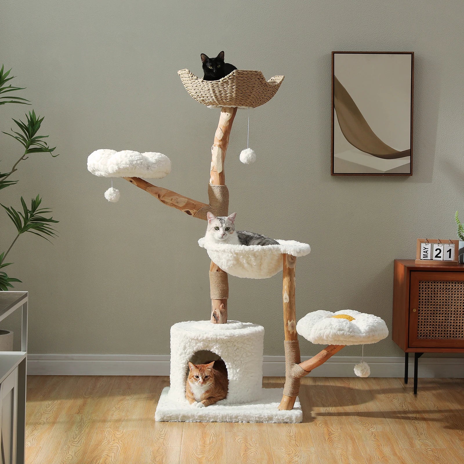 Modern Solid Wood Cat Tree with Condo & Play Features