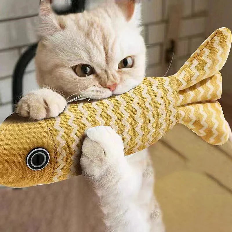 Interactive Fish Cat Toy