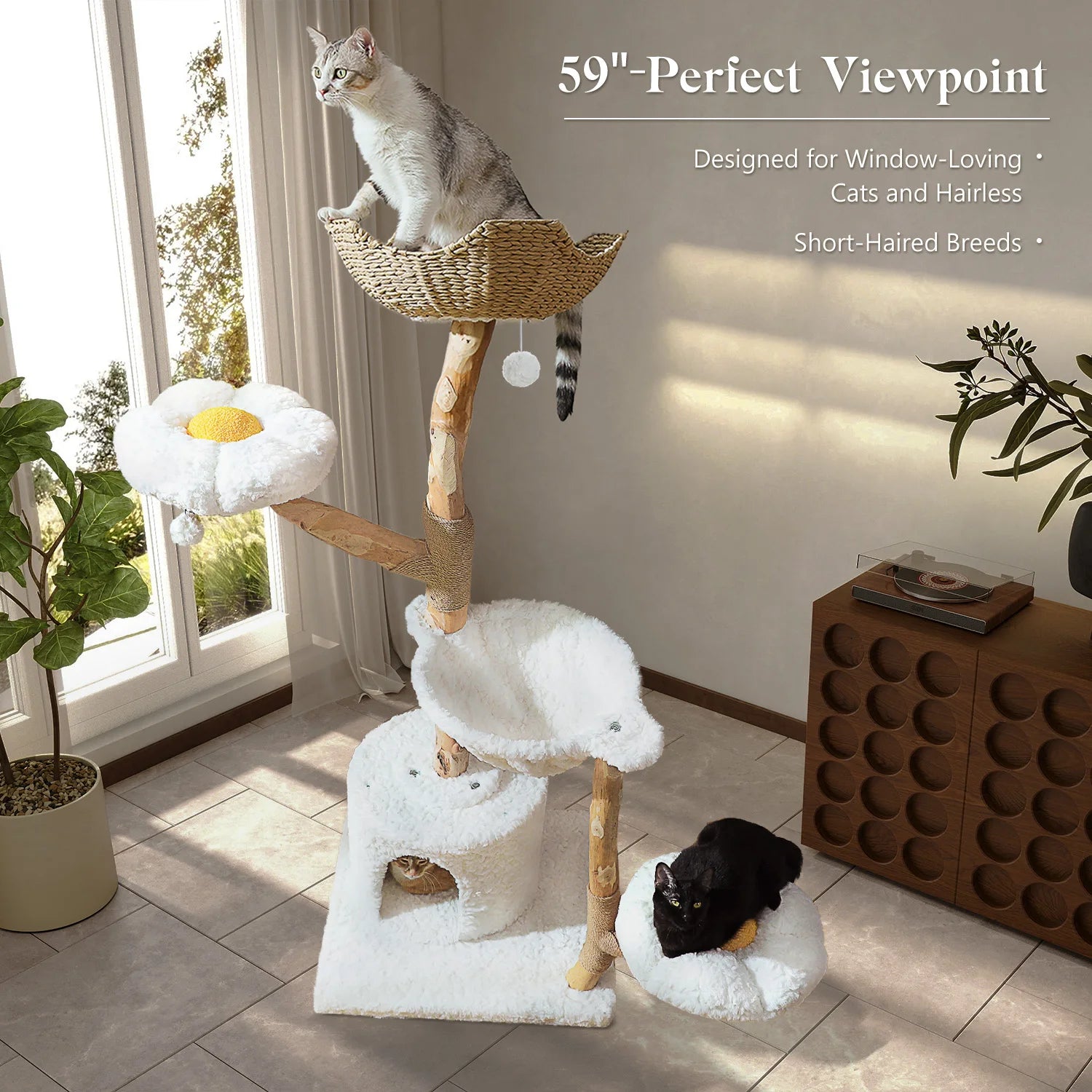 Modern Solid Wood Cat Tree with Condo & Play Features