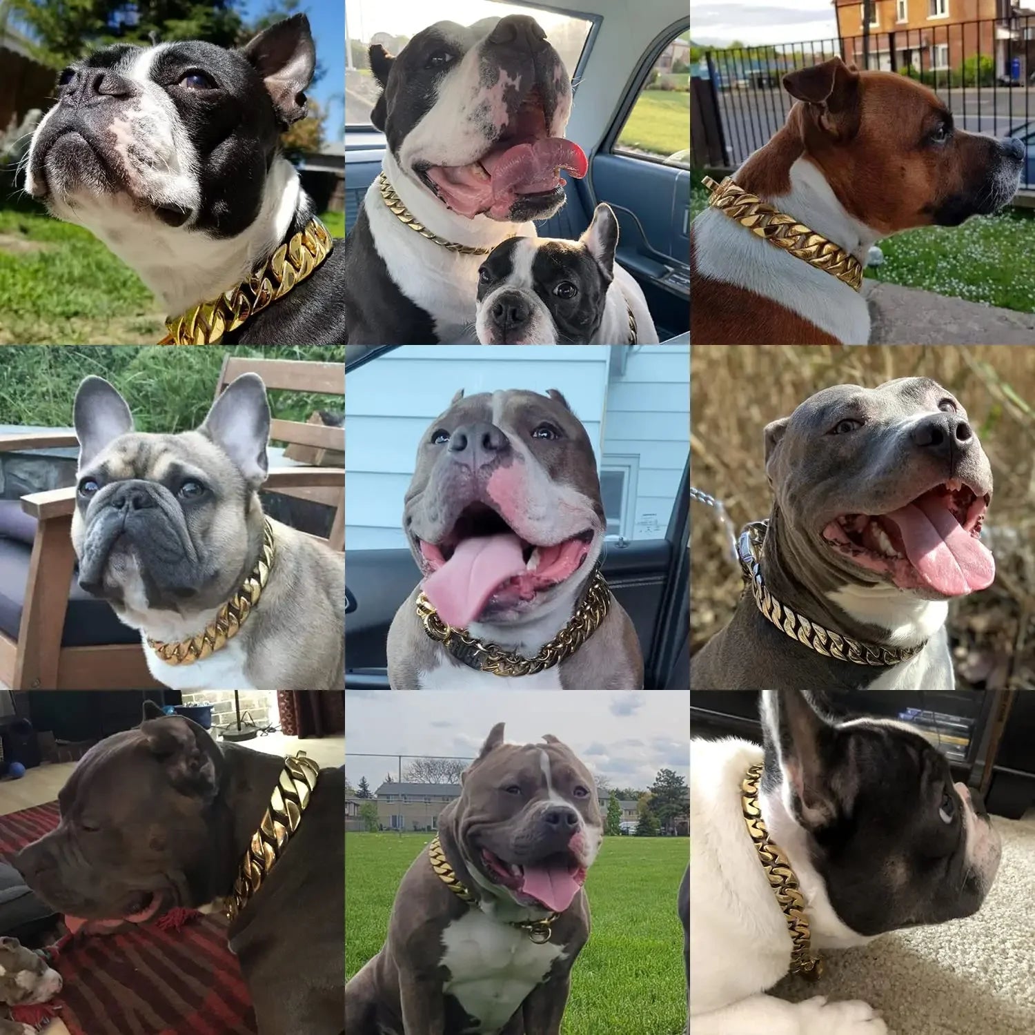 32mm Heavy-Duty Stainless Steel Dog Collar with Solid Buckle