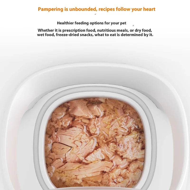 Smart Automatic Cat Feeder with WiFi & Sensor Recognition