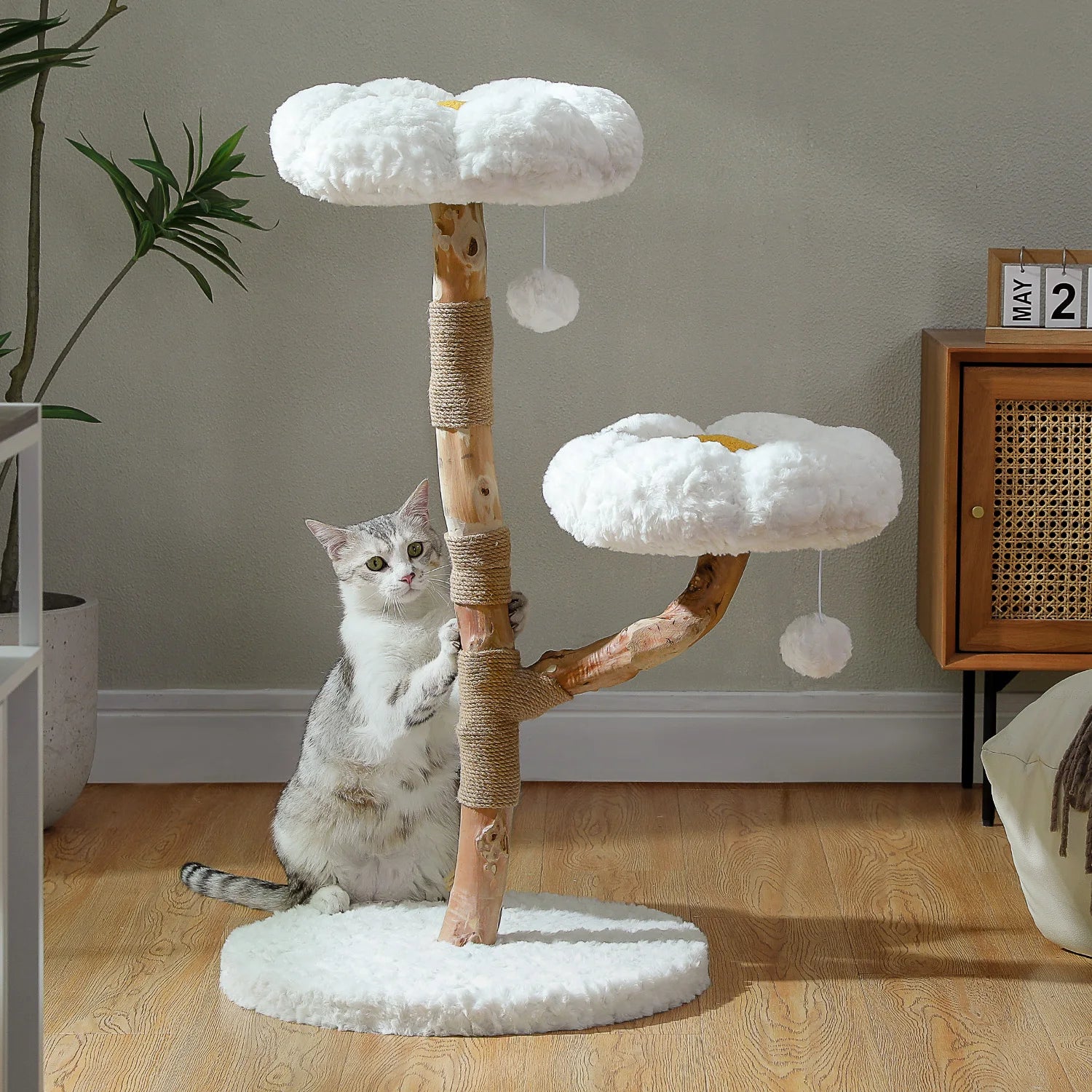 Modern Solid Wood Cat Tree with Condo & Play Features