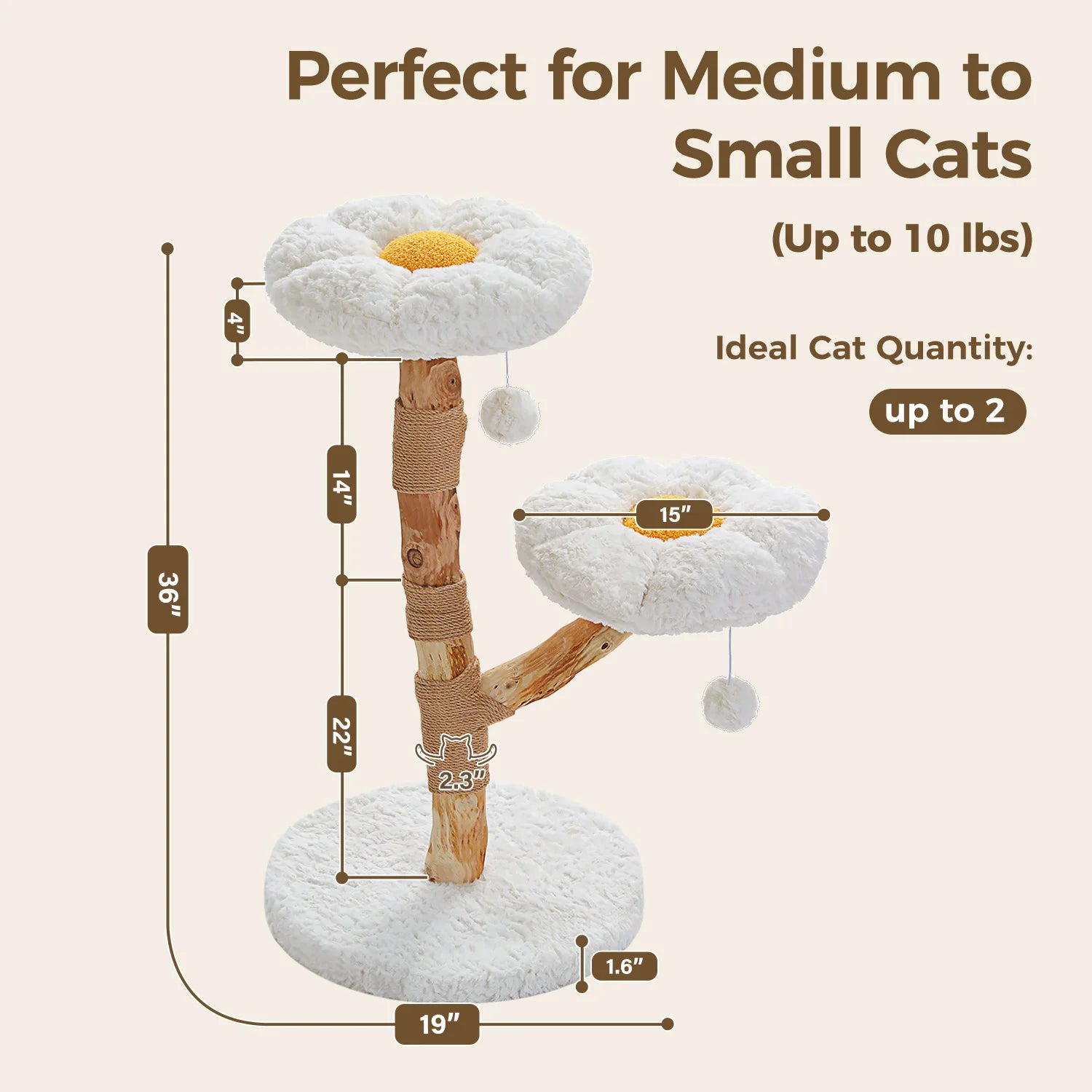 Modern Solid Wood Cat Tree with Condo & Play Features
