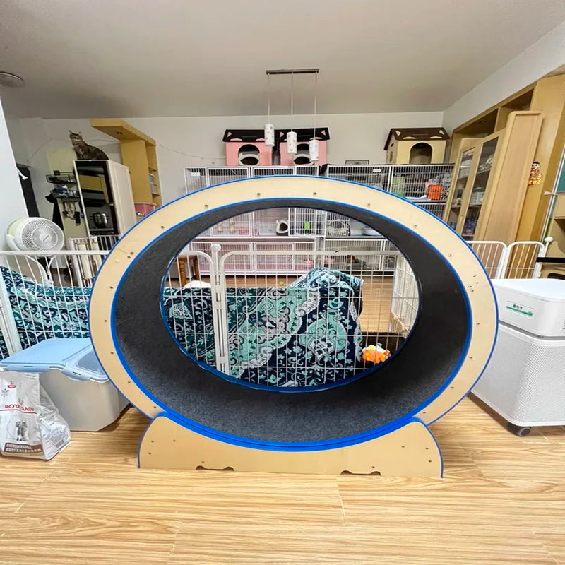 Spot Cat Mute Treadmill & Climbing Frame