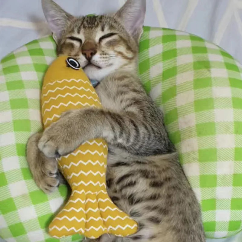 Interactive Fish Cat Toy