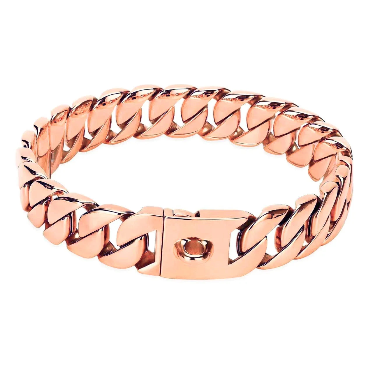 32mm Heavy-Duty Stainless Steel Dog Collar with Solid Buckle