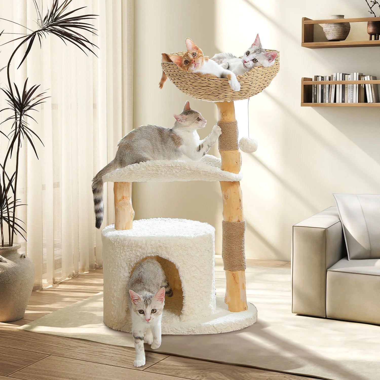 Modern Solid Wood Cat Tree with Condo & Play Features