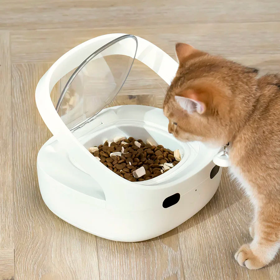 Smart Automatic Cat Feeder with WiFi & Sensor Recognition