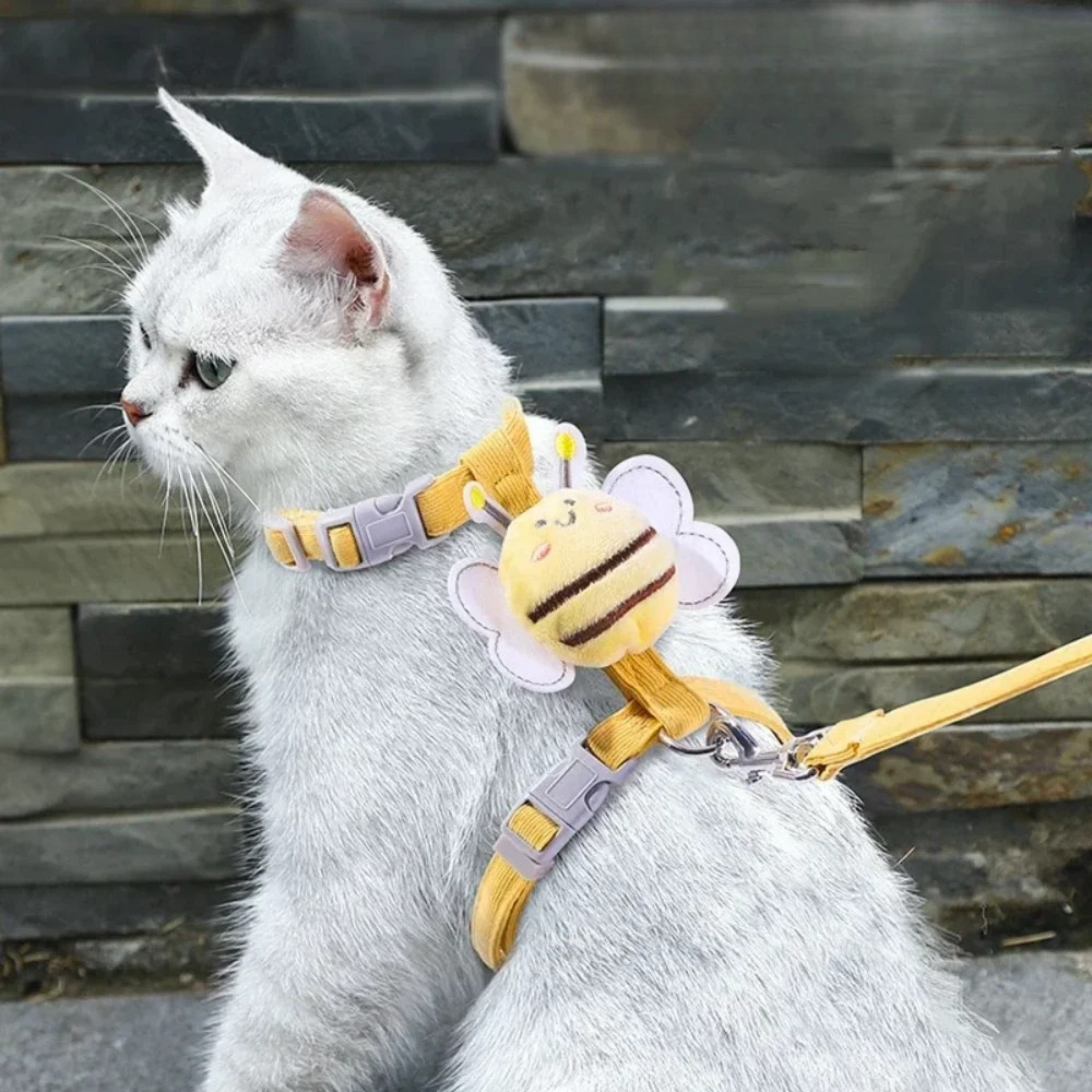Adjustable Cartoon Bee Cat & Dog Harness with Leash Set