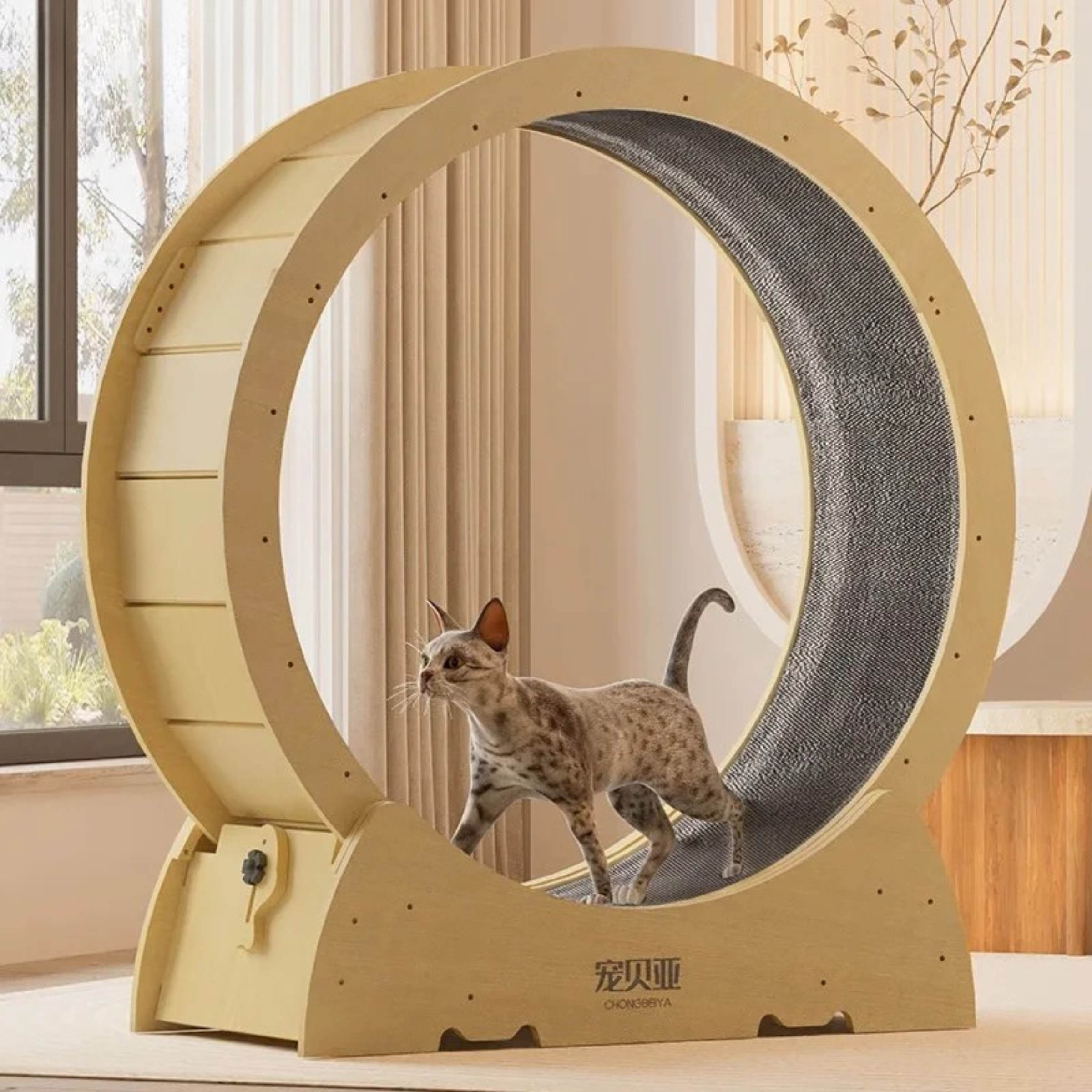 Spot Cat Mute Treadmill & Climbing Frame